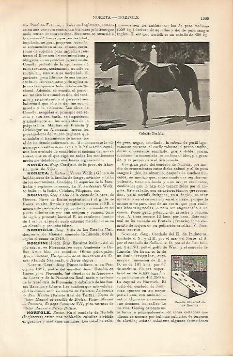 LAMINA ESPASA 9544: Caballo Norfolk