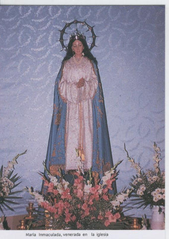 Postal 013193: Virgen Maria Inmaculada