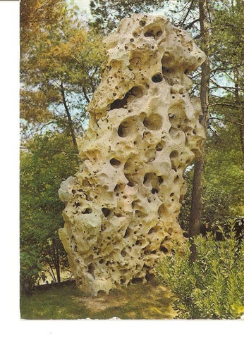 Postal 028248 : El Gegant, Homenatje a Gaudi. 
