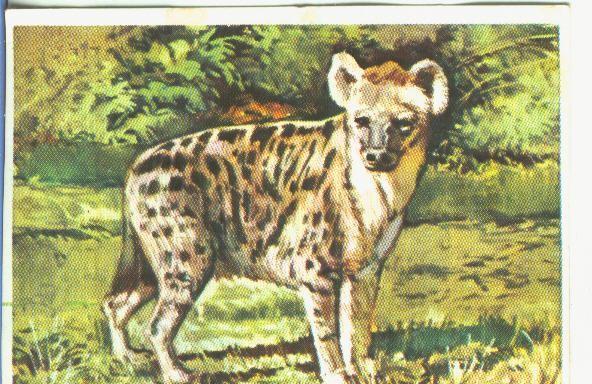 Cromos: Historia Natural numero 160
