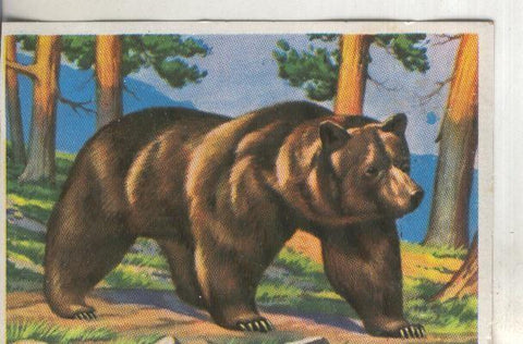Cromos: Historia Natural numero 186
