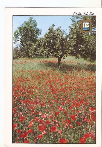 Postal 044592 : Costa del Sol. Campo de Amapolas