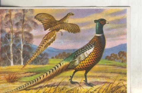 Cromos: Historia Natural numero 325