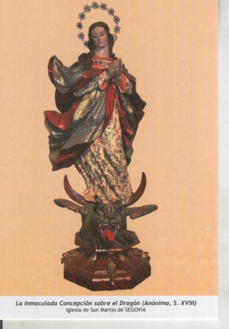 Postal 011789: Virgen Ntra Sra la Inmaculada Concepcion , Iglesia de San Martin de Segovia
