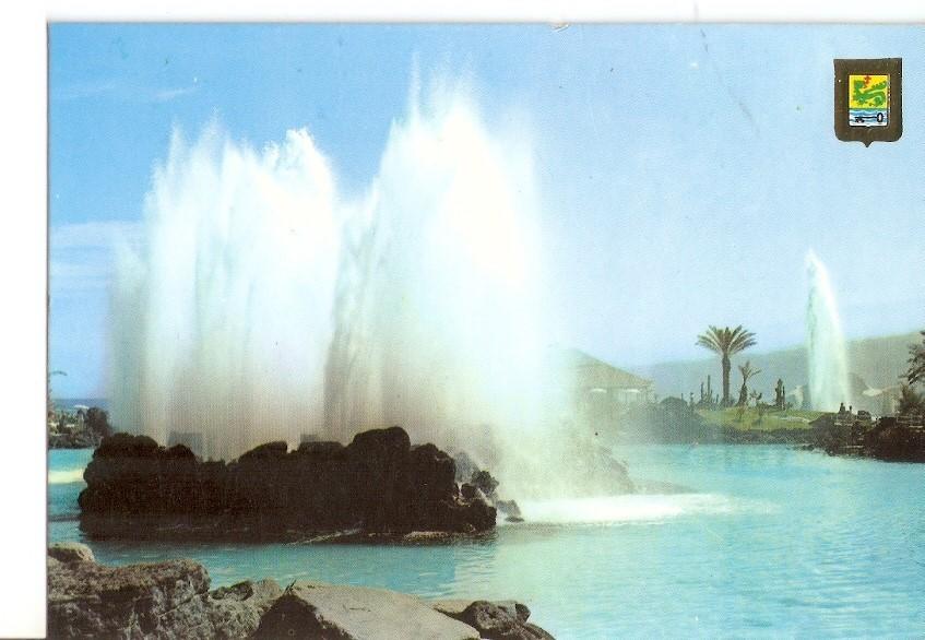 Postal 029621 : Puerto de Cruz (Tenerife). Lago Martianez