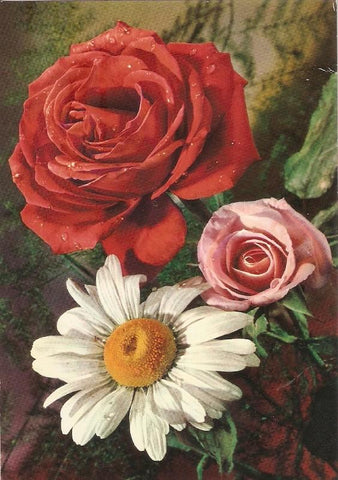 Postal 030881 : Flores