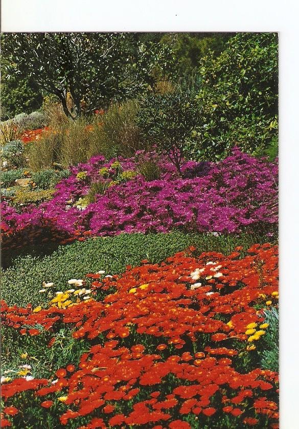 Postal 022863 : Jardin Botanico Mar i Murtra, Blanes (Costa Brava)