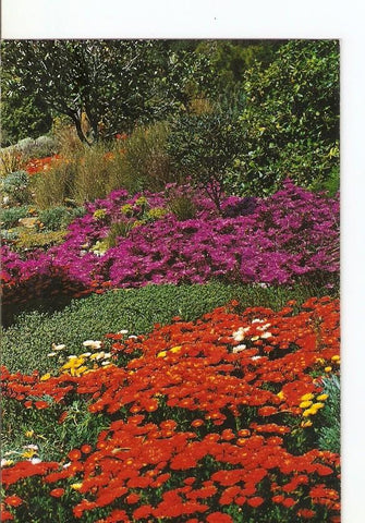 Postal 022863 : Jardin Botanico Mar i Murtra, Blanes (Costa Brava)