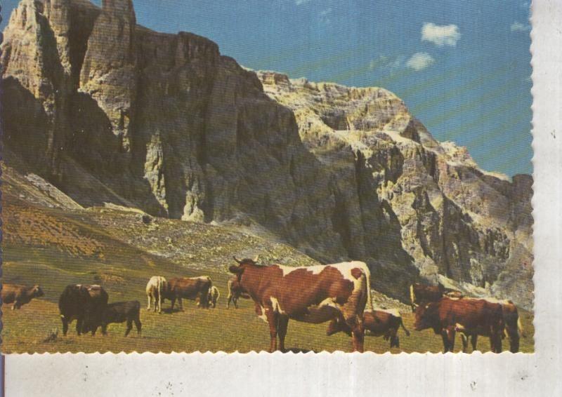 Postal 012484: Paisaje de montaña