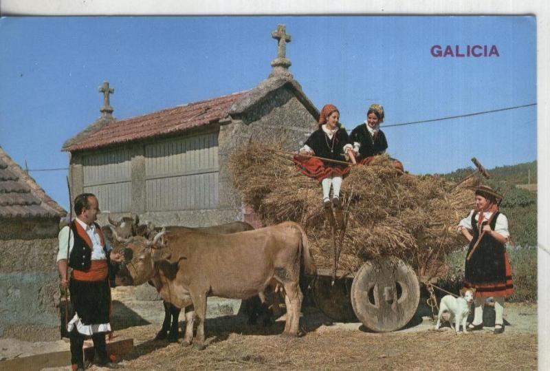 Postal:: Galicia: escena tipica