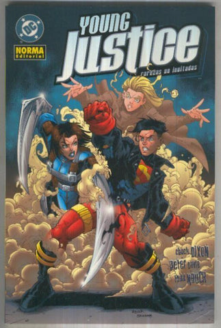 YOUNG JUSTICE: Rarezas No Invitadas (TPB Norma 2004)