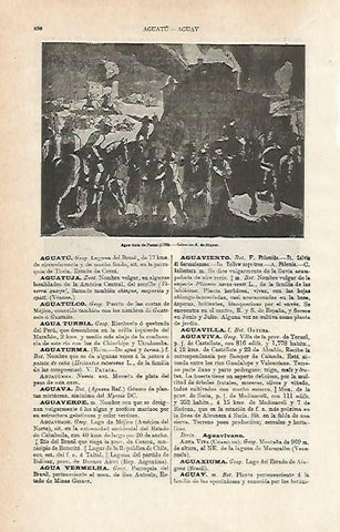 LAMINA ESPASA 15434: Aguatinta de Pacini