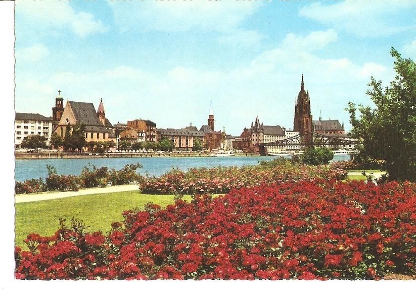 Postal 033595 : Frankfurt. Partie am Main mit Dom