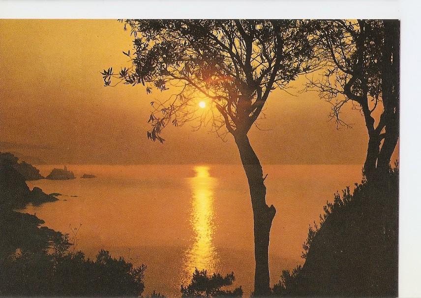 Postal 040076 : Puesta de sol