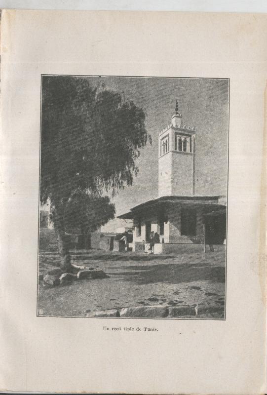 Mandolines i Babutxes lamina 09: Un reco tipic de Tunis