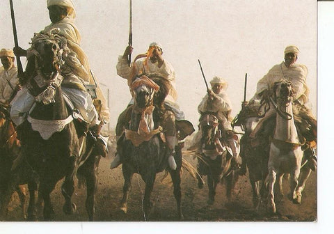 Postal 034039 : Maroc Infini - Cavaliers des Doukkalas