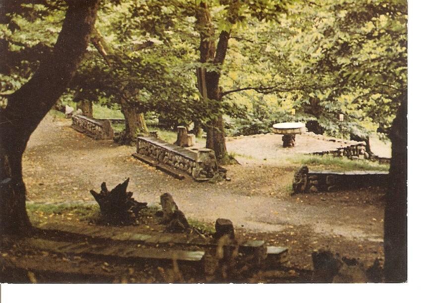 Postal 044706 : Lourdes. Cite-secours Saint-Pierre. La Cathedrale de Verdure