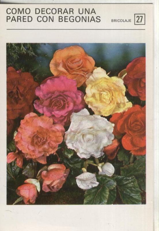 Postal-Ficha Jardineria numero 27 Como decorar una pared con Begonias