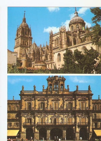 Postal 040727 : Catedrales Nueva y Vieja (Almenas Pinaculos Cresterias Torres y Cupulas)