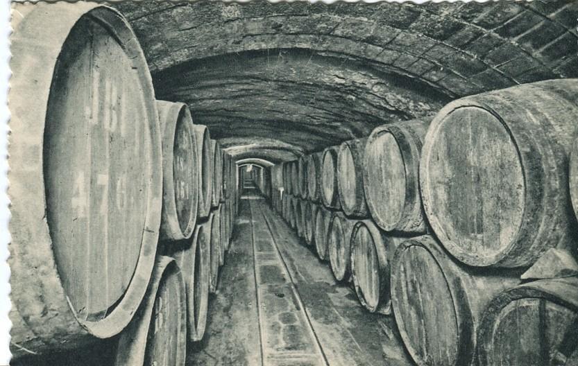 Postal-Postcard 17292: CASA CODORNIU - Sant Sadurni dAnoia - Vinos en crianza