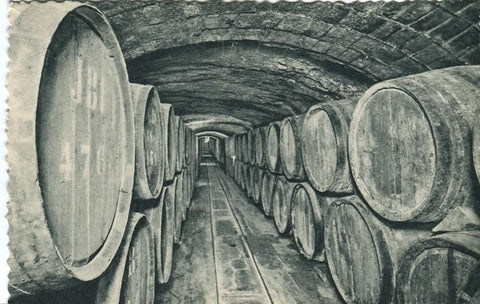Postal-Postcard 17292: CASA CODORNIU - Sant Sadurni dAnoia - Vinos en crianza