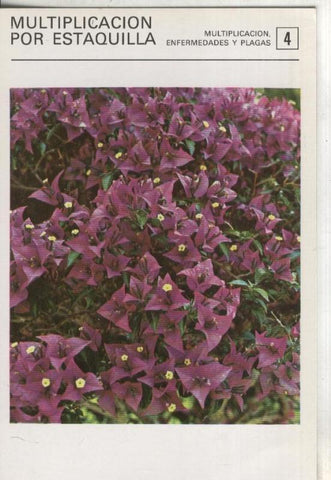 Postal-Ficha Jardineria numero 04: Multiplicacion por estaquilla