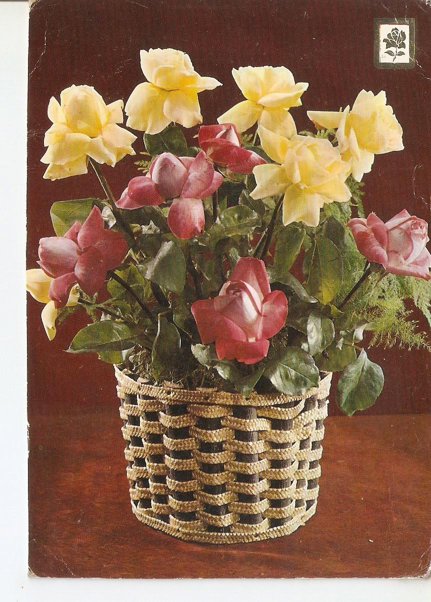 Postal 037860 : Coleccion de flores naturales en ramo