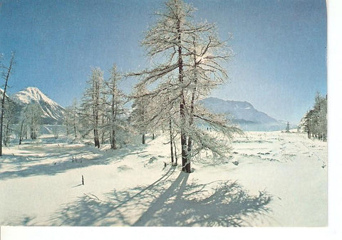 Postal 041957 : Paisaje nevado