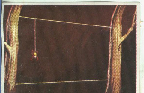 Cromos: Historia Natural numero 141