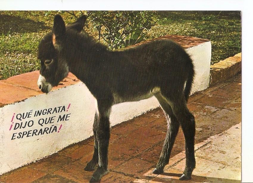 Postal 033329 : España es diferente
