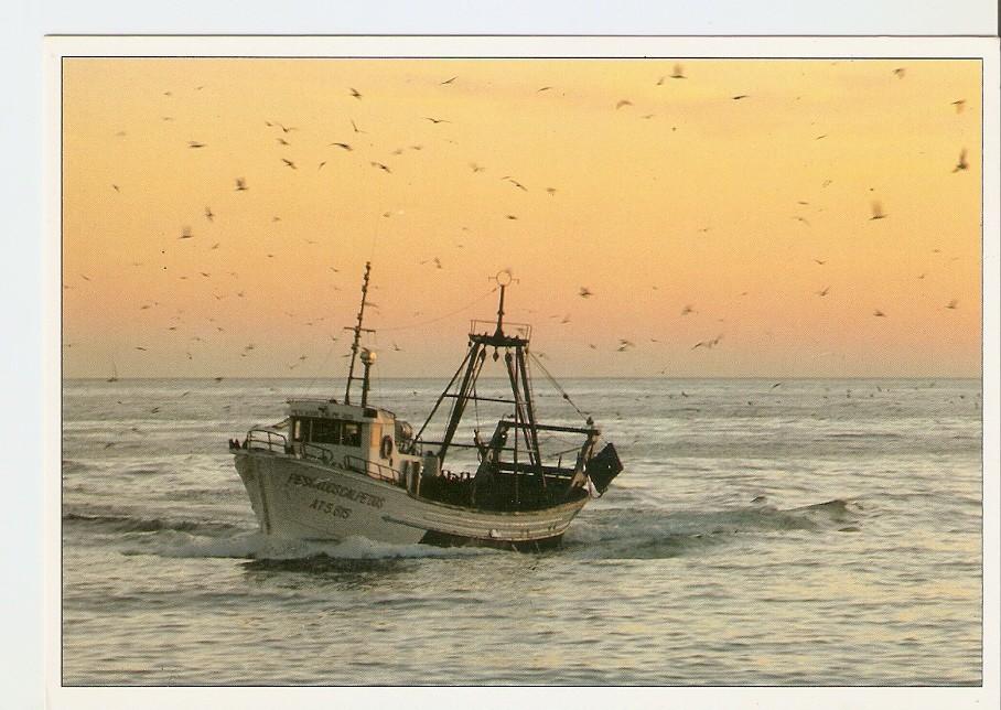 Postal 040534 : Pesquero