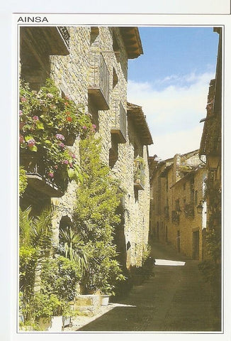 Postal 043289 : Ainsa (Huesca). Calle Santa Cruz