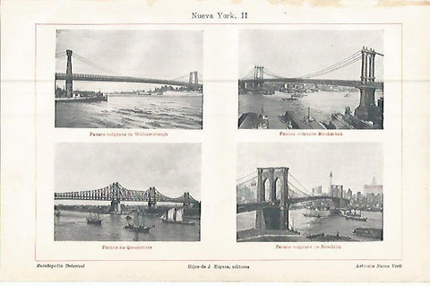 LAMINA ESPASA 9627: Puentes de Nueva York