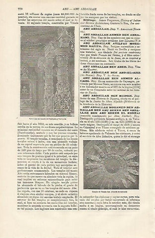 LAMINA ESPASA 13225: Columnas del Templo de Fejahpala