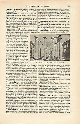 LAMINA ESPASA 15764: Casa de Epidio  Sabino en Pompeya