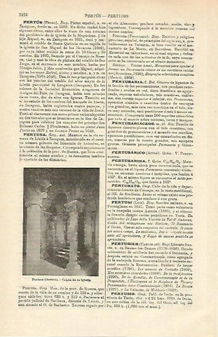 LAMINA ESPASA 15809: Cripta de la iglesia de Pertusa Italia