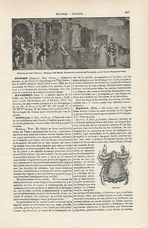 LAMINA ESPASA 15959: Historia de  San Rainero
