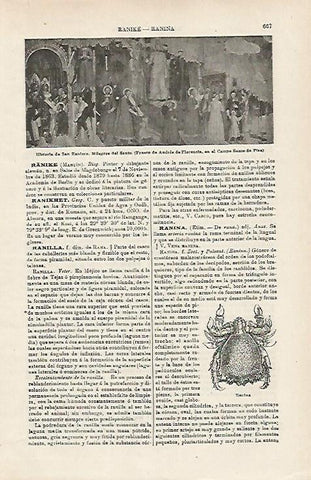 LAMINA ESPASA 15959: Historia de  San Rainero