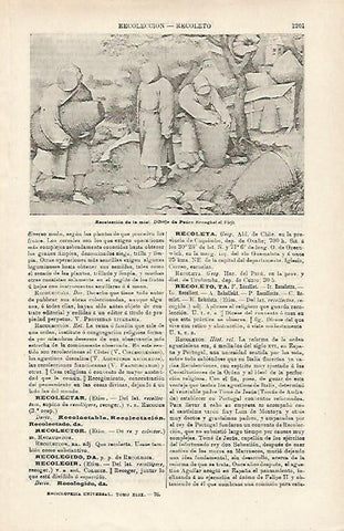 LAMINA ESPASA 16028: Recoleccion de la miel por Brueghel el Viejo