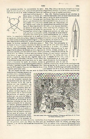 LAMINA ESPASA 16034: Red para cazar animales