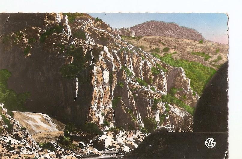 Postal 028989 : Les Gorges de Palestro