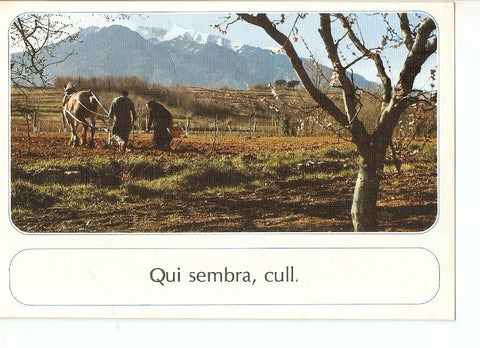 Postal 030588 : Labrando las tierras