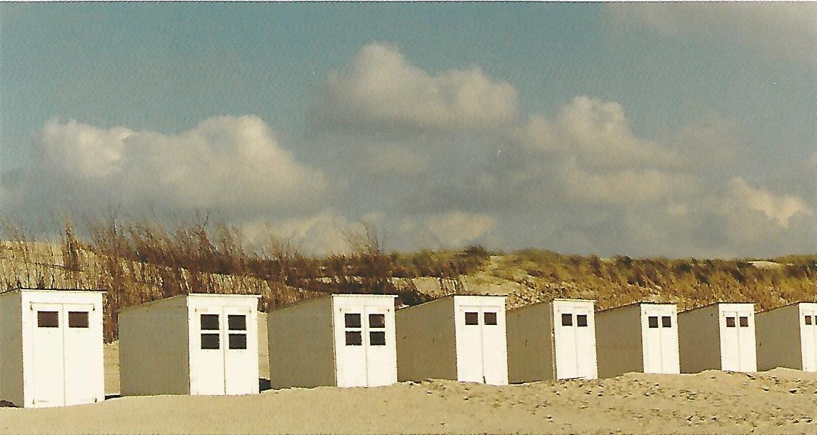 Postal 50293: TEXEL