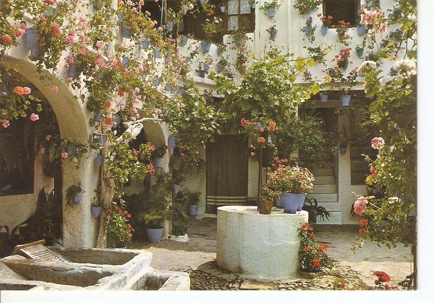 Postal 045198 : Cordoba. Patio tipico