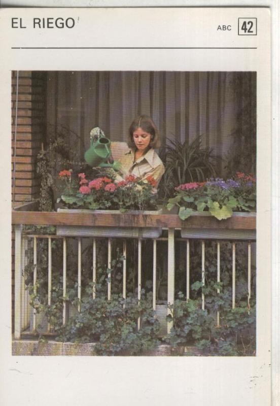 Postal 000522: Ficha Jardineria numero 42: El riego