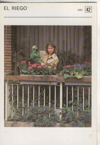 Postal 000522: Ficha Jardineria numero 42: El riego