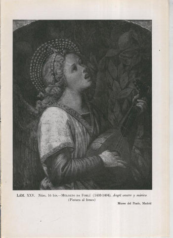 La coleccion Cambo, lamina 25: Melozzo da Forli: Angel cantor y musico