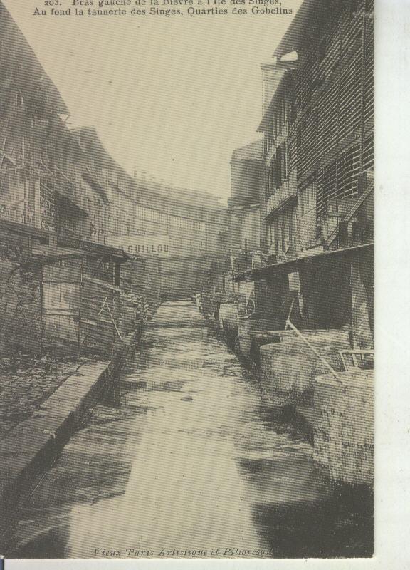 Postal 011091: Bras gauche de la Bievre