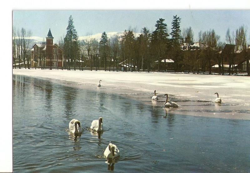 Postal 029216 : El Lago en Invierno, Puicerda