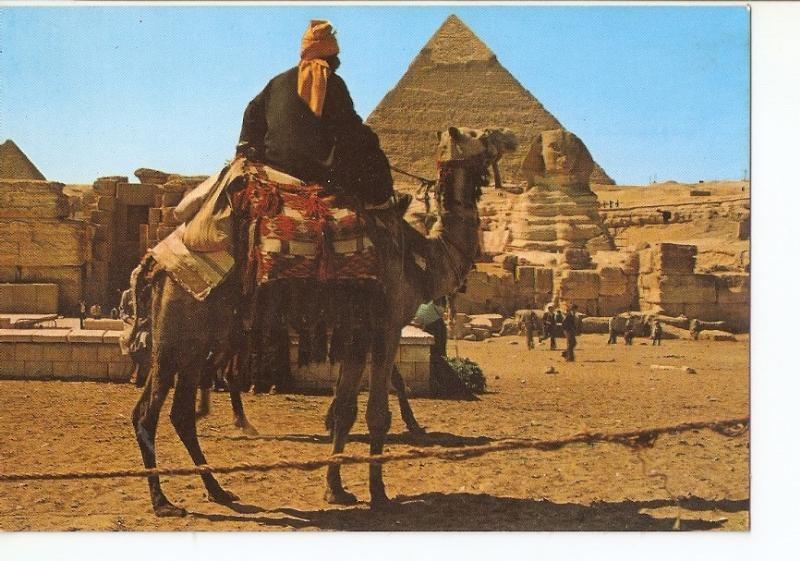 Postal 026771 : Giza. The Great Sphinx and the Pyramids of Kephren and Mikerinos